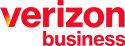 Verizon Business