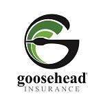 Molley Michel Agency LLC Goosehead Insurance