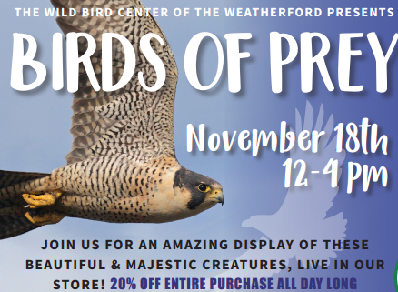Birds of Prey Educational Event