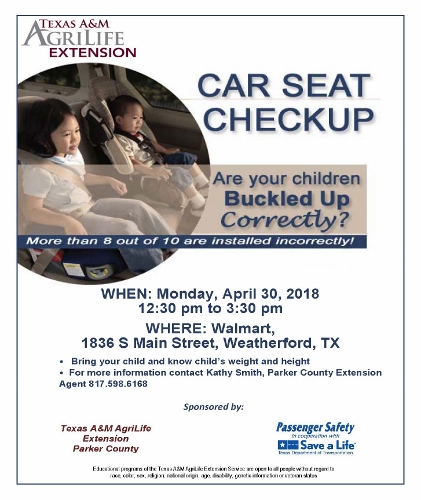 Car Seat Checkup Event