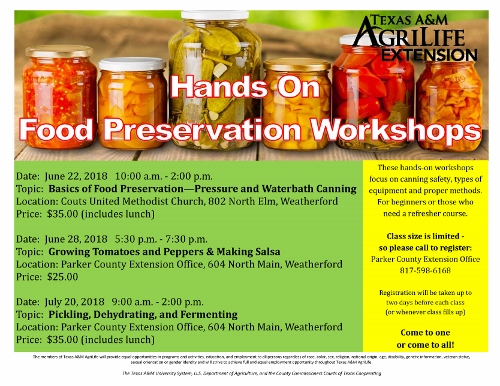 Pickling, Dehydrating and Fermenting Workshop