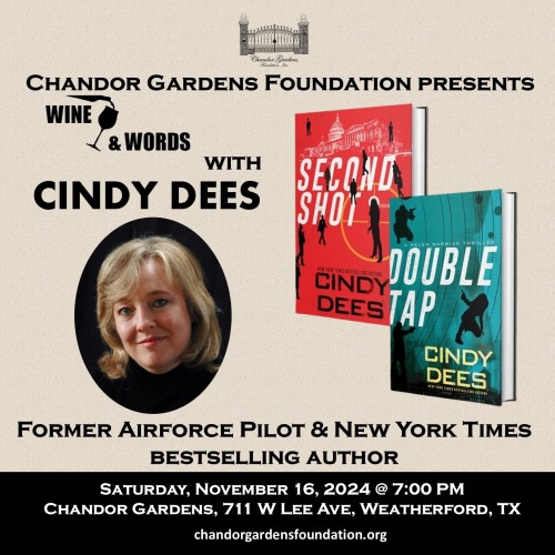 Wine & Words: Cindy Dees - Former Airforce Pilot & Author