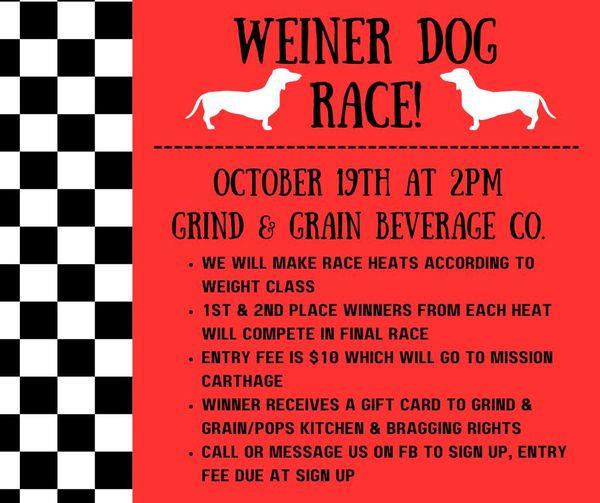 Weiner Dog Race