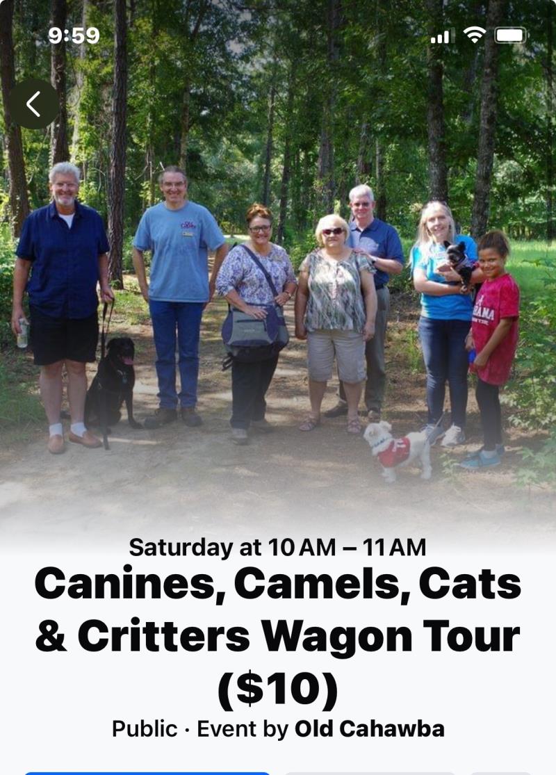 Canines, Camels, Cats & Critters Wagon Tour