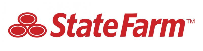 Team Stokes State Farm