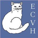 Exclusively Cats Veterinary Hospital