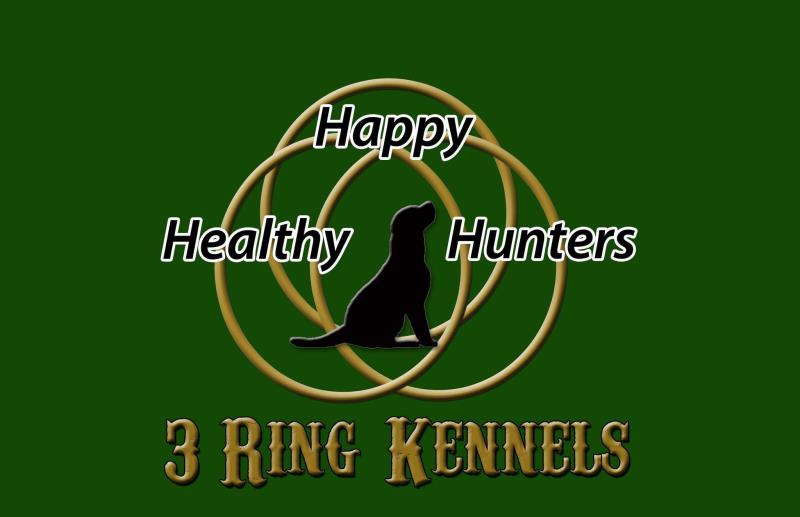 3 Ring Kennels