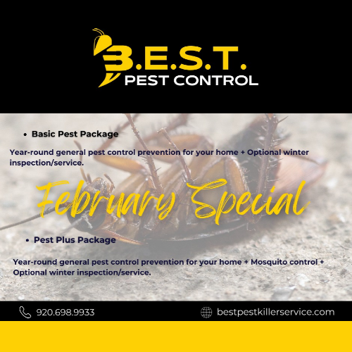 B.E.S.T. Pest Control Services LLC