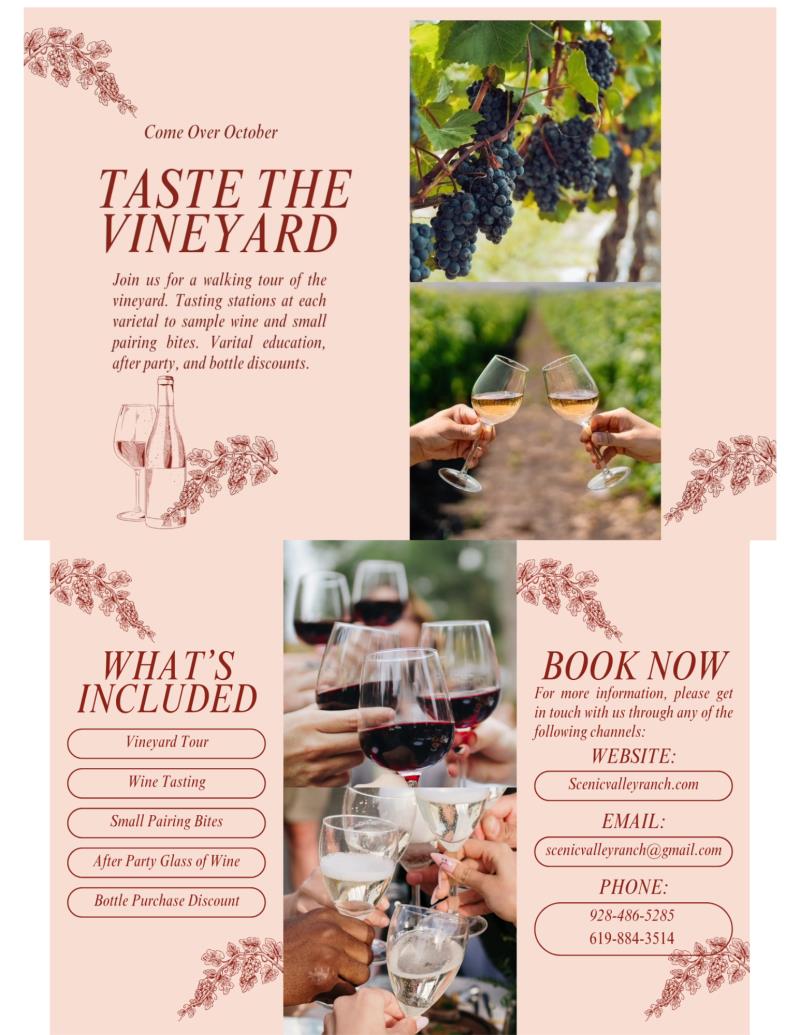 Taste The Vineyard