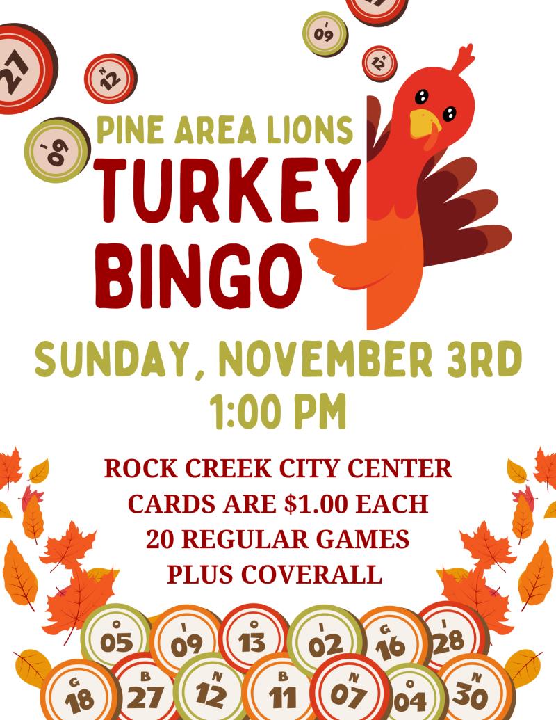 Pine Area Lions Turkey Bingo