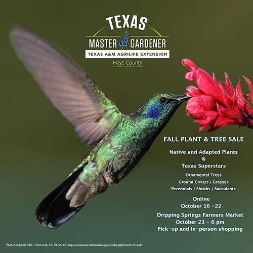 Hays County Master Gardener Plant and Tree Sale