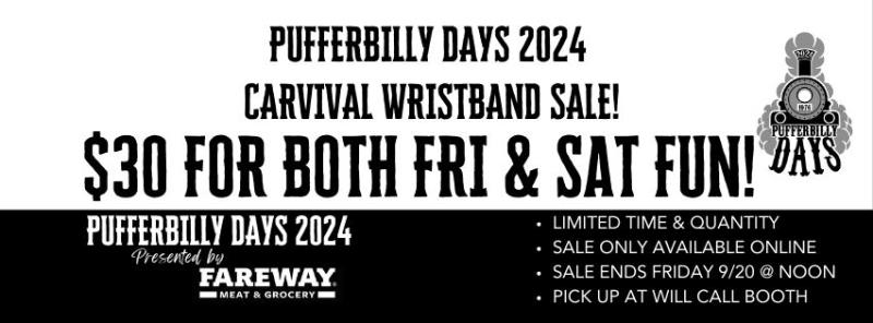 Carnival Wristband (Presale Price!)