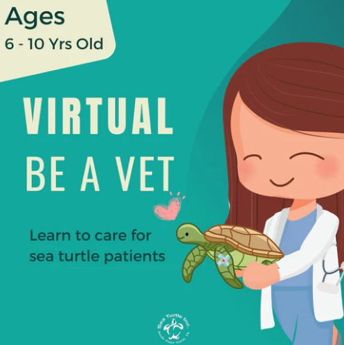 Virtual Be A Vet