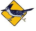 Roadrunner Driving School