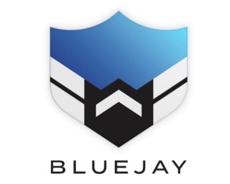 Bluejay Executive Partners