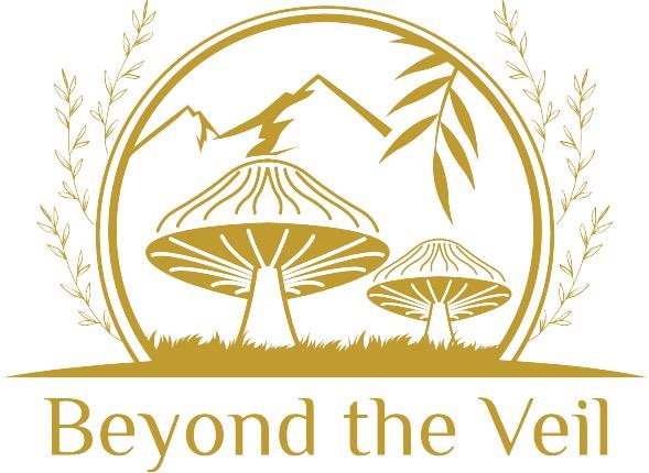 Beyond the Veil