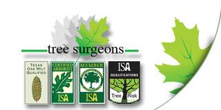 Austin Tree Surgeons